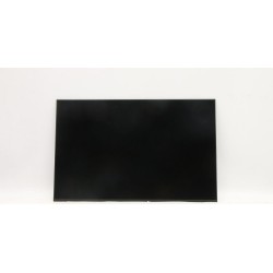 Lenovo DISPLAY AUO 16.0 WUXGA IPS AG (5D10V82403)