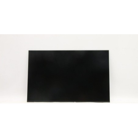 Lenovo DISPLAY AUO 16.0 WUXGA IPS AG (5D10V82403)