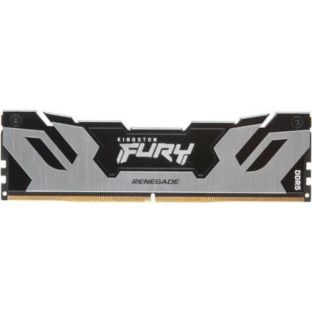 Kingston FURY Renegade - DDR5 - Modul - 32GB - DIMM 288-PIN - 3200 MHz / PC5-51200 - CL32 - on-die ECC - Schwarz, Silber (KF564