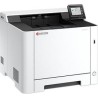 Kyocera ECOSYS PA2101CX/PLUS - Drucker - Laser/LED-Druck (870B6110C253NL1)