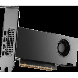 NVIDIA RTX PRO 2000 Blackwell Grafikkarte - 16 GB GDDR7 ECC - PCIe 5.0 x16 - Bulk