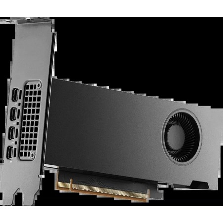 NVIDIA RTX PRO 2000 Blackwell Grafikkarte - 16 GB GDDR7 ECC - PCIe 5.0 x16 - Bulk