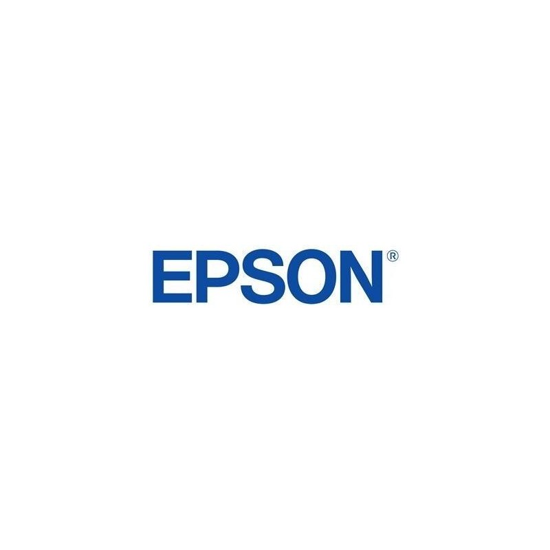 Epson T8006 - 700 ml - Vivid Light Magenta - original - Tintenpatrone - für SureColor SC-P10000, SC-P20000 (C13T80060N)
