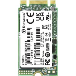 Transcend MTE460T-I 256 GB Interne M.2 PCIe NVMe SSD 2242 3.0 x2 Retail (TS256GMTE460T-I)