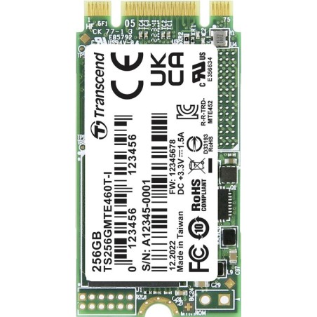 Transcend MTE460T-I 256 GB Interne M.2 PCIe NVMe SSD 2242 3.0 x2 Retail (TS256GMTE460T-I)