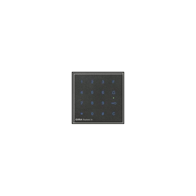 GIRA 260567 Zubehör für elektrische Schalter (260567)