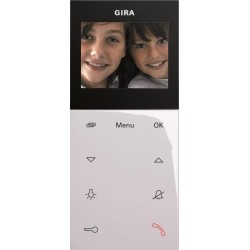 Wohnungsstation Video AP Plus reinweiß 123903 (123903)