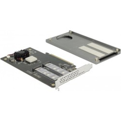DeLOCK - Schnittstellenadapter - M.2 - M.2 Card - PCIe 3.0 x16 (89961)