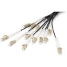 DIGITUS - Kabelpeitsche - LC/UPC Multi-Modus (S) zu LC/UPC Multi-Modus (S) - 100,0m - Glasfaser - 50/125 Mikrometer - OM4 - hal