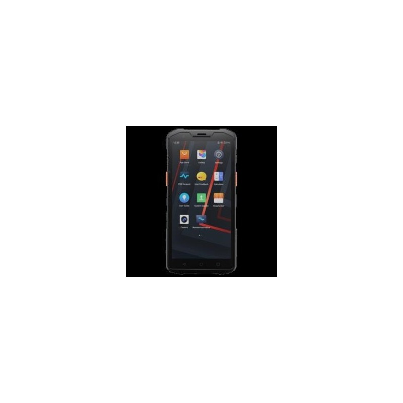 SUNMI L2s Pro, SUNMI 1111 2D Scanner, 2D, 14cm (5,5''), GPS, USB-C, BT, WLAN, 4G, NFC, Android, Kit (USB), RB Mobiles Datenerfa