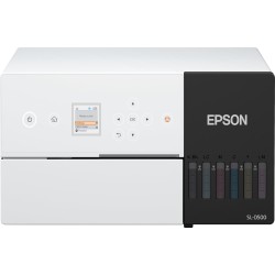 Epson SURELAB SL-D500 - Drucker - Farbe - piezoelektrischer Tintendrucker - CISS - 100 x 150 mm - 1440 x 720 dpi - bis zu 4.17