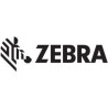 Zebra Z-Ultimate 3000T - Polyester - glänzend - permanenter Acrylklebstoff - Silber - 19,05 x 38,1 mm 67420 Etikett(en) (10 Rol