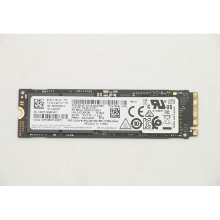 Lenovo SSD M.2 2280 (5SS0W79493)