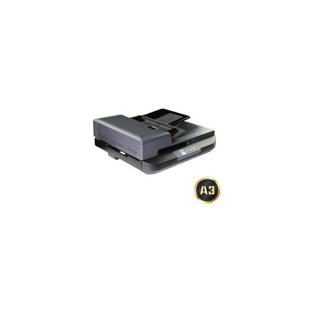 Avision Dokumentenscanner AD5800 A3 mit ADF und Flachbett - Dokumentenscanner - A3 (000-1136-02G)