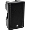 Omnitronic 11038796 Lautsprecher 2-Wege Schwarz Verkabelt & Kabellos 300 W (11038796)