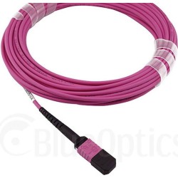 BlueOptics SFP6262FU30MKB Glasfaserkabel 30 m MTP OM4 Pink (SFP6262FU30MKB)