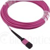 BlueOptics SFP6262FU30MKB Glasfaserkabel 30 m MTP OM4 Pink (SFP6262FU30MKB)