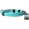 BlueOptics AA1404028-30M-BO InfiniBand-Kabel QSFP Orange (AA1404028-30M-BO)