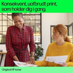 HP 217Z - Hohe Ergiebigkeit - Schwarz - original - LaserJet - Tonerpatrone (W2170Z) - für Color LaserJet Enterprise MFP 6800dn
