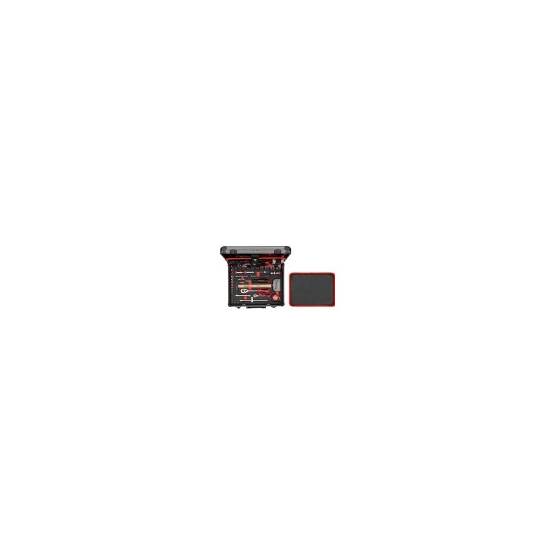 Gedore RED R46007138 3300189 Werkzeugset (3300189)