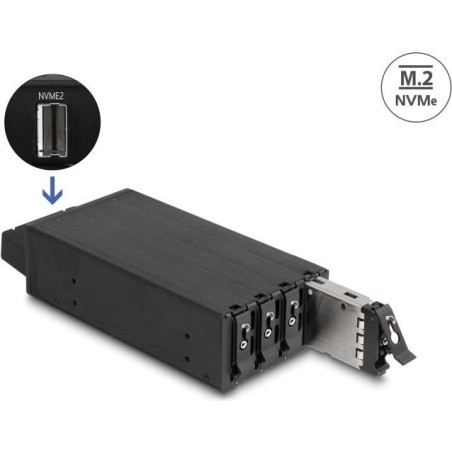 DeLOCK 47126 Computer-Gehäuseteil Rack HDD-Käfig (47126)