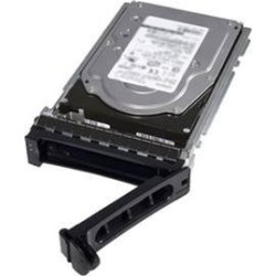 DELL 345-BGVS 480 GB SSD SATA 6Gb/s Read Intensive ISE 2.5" mit 3.5" Hybrid-Träger (345-BGVS)