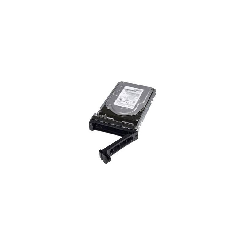 DELL 345-BGVS 480 GB SSD SATA 6Gb/s Read Intensive ISE 2.5" mit 3.5" Hybrid-Träger (345-BGVS)