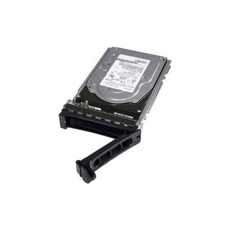 DELL 345-BGVS 480 GB SSD SATA 6Gb/s Read Intensive ISE 2.5" mit 3.5" Hybrid-Träger (345-BGVS)