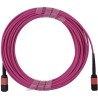 BlueOptics CB-M12-M12-MMF30M kompatibles MPO-MPO Multimode OM4 Patchkabel 30 Meter (CB-M12-M12-MMF30M-BO)