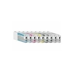 Epson T8009 - Schwarz - Original - Tintenpatrone - für SureColor SC-P20000 (C13T800900)