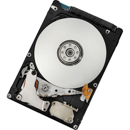 Lenovo FRU42D0753 500GB Interne Festplatte (FRU42D0753)