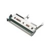 Intermec - Druckkopf - 1 - 300 dpi (1-040085-900)