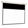 Reflecta Crystal-Line Motor lux - Leinwand - Deckenmontage möglich, geeignet für Wandmontage - motorisiert - 179 cm (70") - 16:
