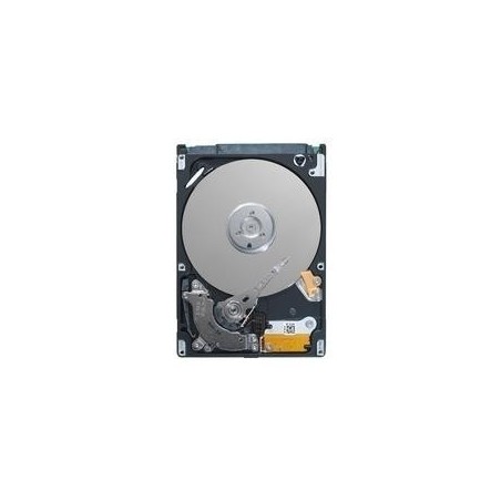 Dell - Festplatte - 1TB - Hot-Swap - 8,9 cm (3.5") - SATA 6Gb/s - 7200 U/min - für PowerEdge R230, R330, R430, R530, R730, R730