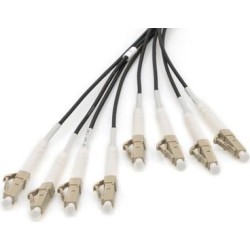 DIGITUS - Netzwerkkabel - LC/UPC Multi-Modus (S) zu LC/UPC Multi-Modus (S) - 75,0m - Glasfaser - 50/125 Mikrometer - OM4 - halo