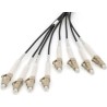DIGITUS - Netzwerkkabel - LC/UPC Multi-Modus (S) zu LC/UPC Multi-Modus (S) - 75,0m - Glasfaser - 50/125 Mikrometer - OM4 - halo