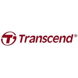 Transcend MTE310S - SSD - 512GB - intern - M.2 2230 - PCIe 4,0 x4 (NVMe) (TS512GMTE310S)