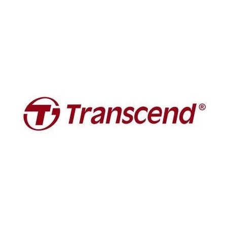 Transcend MTE310S - SSD - 512GB - intern - M.2 2230 - PCIe 4,0 x4 (NVMe) (TS512GMTE310S)