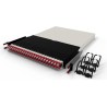 PATCHBOX .one 30RU Cat 6A STP 1.8 m Rot - Kabel - Netzwerk (PONE30STPRD)