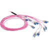 ACT 15 meter Multimode 50/125 OM4 Preterm fiber cable 24F LC Polarity Twist (DC5503)