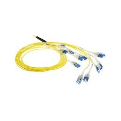 ACT 50 meter Singlemode 50/125 OS2 Preterm fiber cable 24F LC Polarity Twist (DC5560)