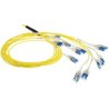 ACT 50 meter Singlemode 50/125 OS2 Preterm fiber cable 24F LC Polarity Twist (DC5560)