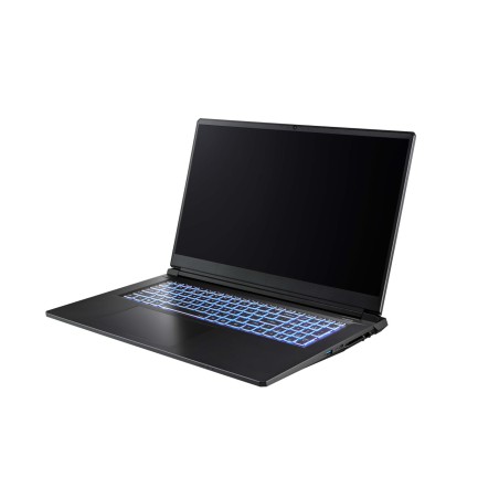 CAPTIVA Notebook Highend Gaming I94-357GE i7-13620H (17.3, 16GB, 500GB SSD, GeForce RTX 5070 8GB, Win 11 Home) (94357)