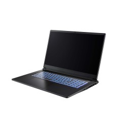 CAPTIVA Notebook Highend Gaming I94-363GE i7-13620H (17.3, 16GB, 1TB SSD, GeForce RTX 5070 8GB, Win 11 Pro) (94363)