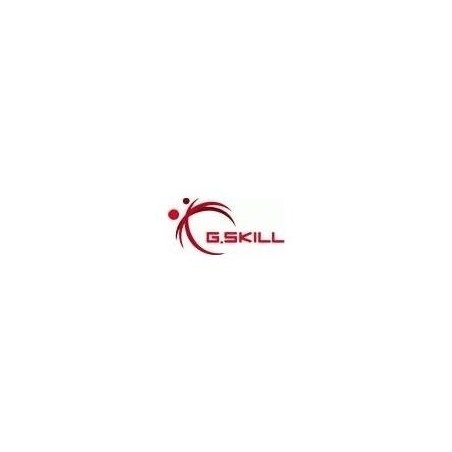 G.Skill AEGIS - DDR4 - Kit - 32 GB: 2 x 16 GB - DIMM 288-PIN - 2400 MHz / PC4-19200 - CL17 - 1.2 V - ungepuffert - non-ECC