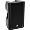 Omnitronic 11038795 Lautsprecher 2-Wege Schwarz Verkabelt & Kabellos 300 W (11038795)