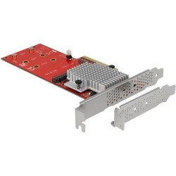 DeLOCK PCI Express Card 2 x internal M.2 - Schnittstellenadapter - M.2 Card Low-Profile - PCIe 3.0 x8 (90305)