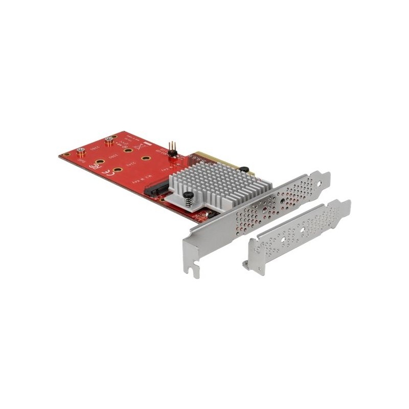 DeLOCK PCI Express Card 2 x internal M.2 - Schnittstellenadapter - M.2 Card Low-Profile - PCIe 3.0 x8 (90305)
