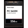 SanDisk PC SA530 2.5" 1000 GB Serial ATA III (SDASB8Y-1T00)