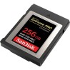 SanDisk Extreme Pro - Flash-Speicherkarte - 256GB - CFexpress (SDCFE-256G-GN4NN)